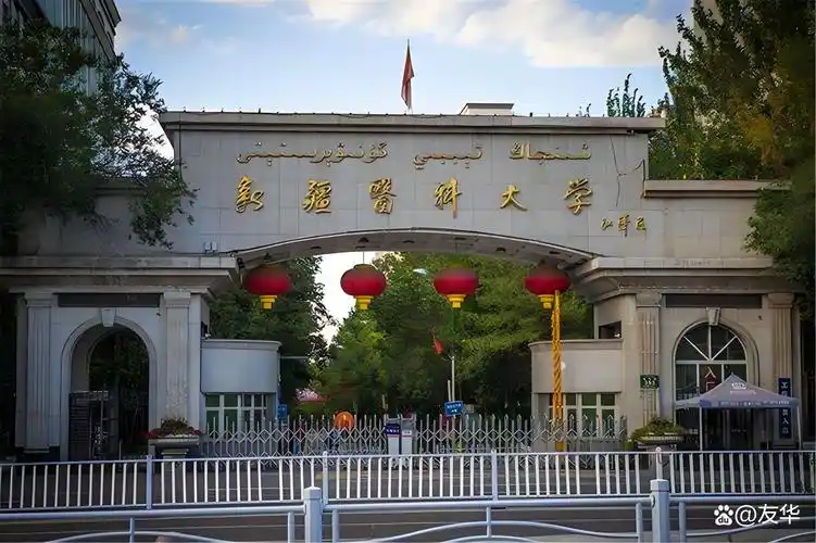 新疆医科大学