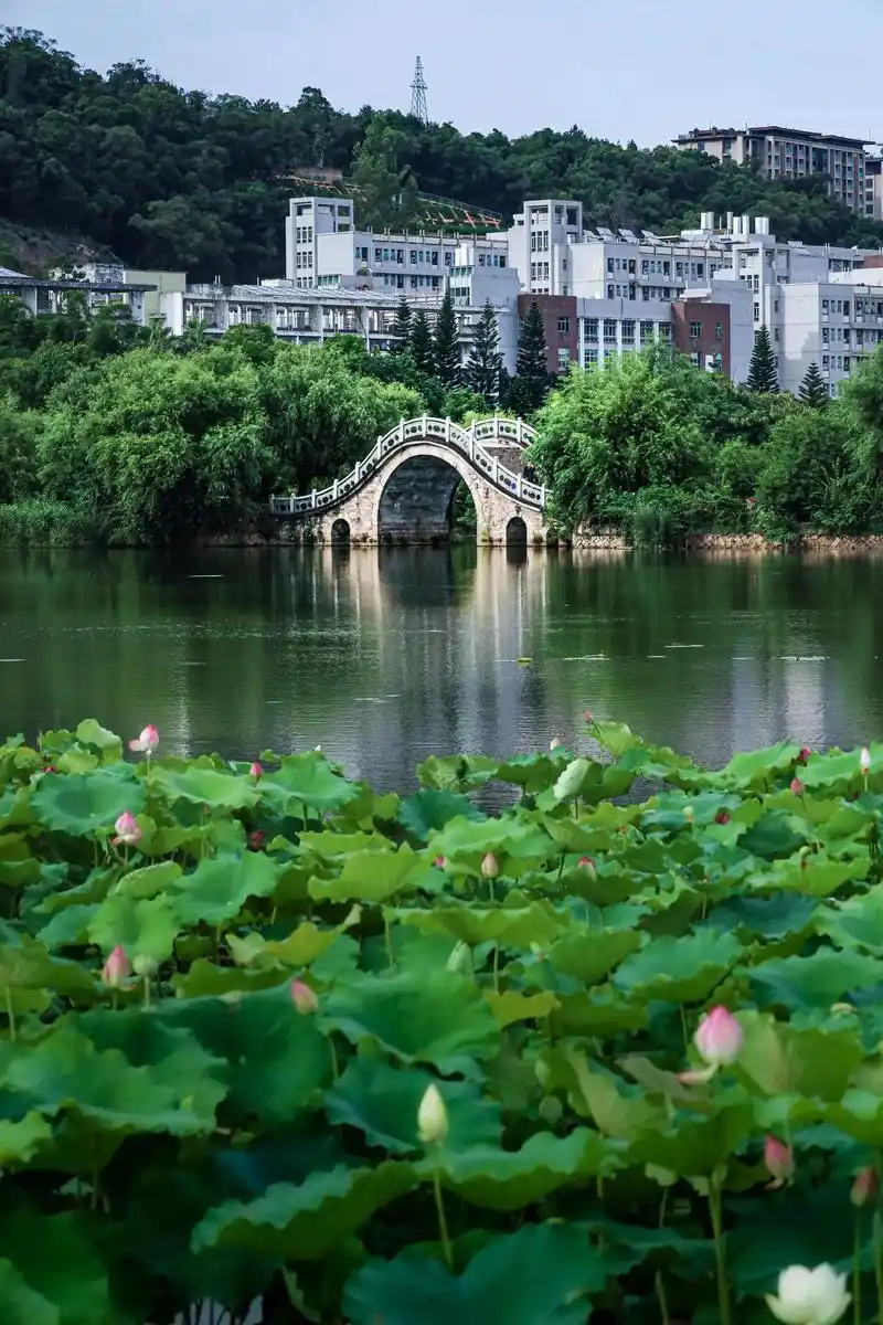 福建农林大学 校园