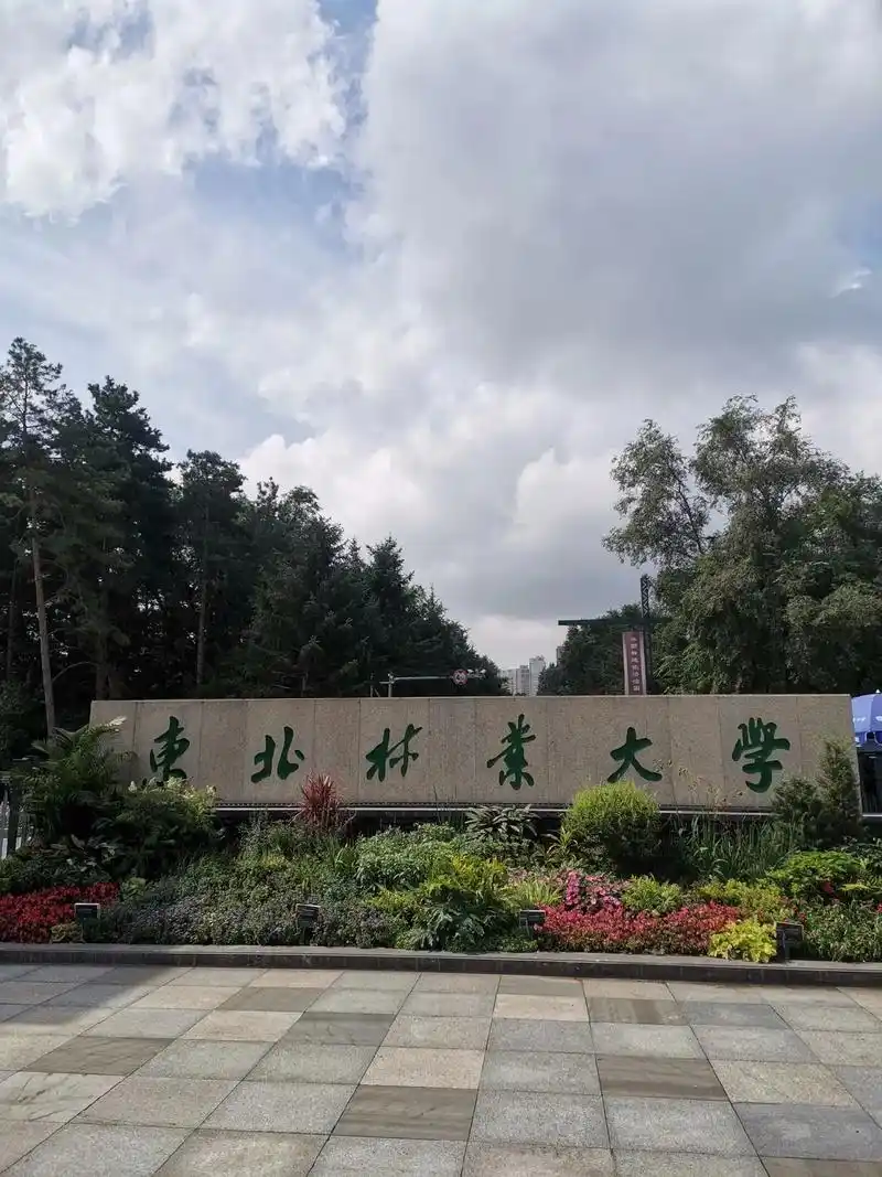 东北林业大学 校园