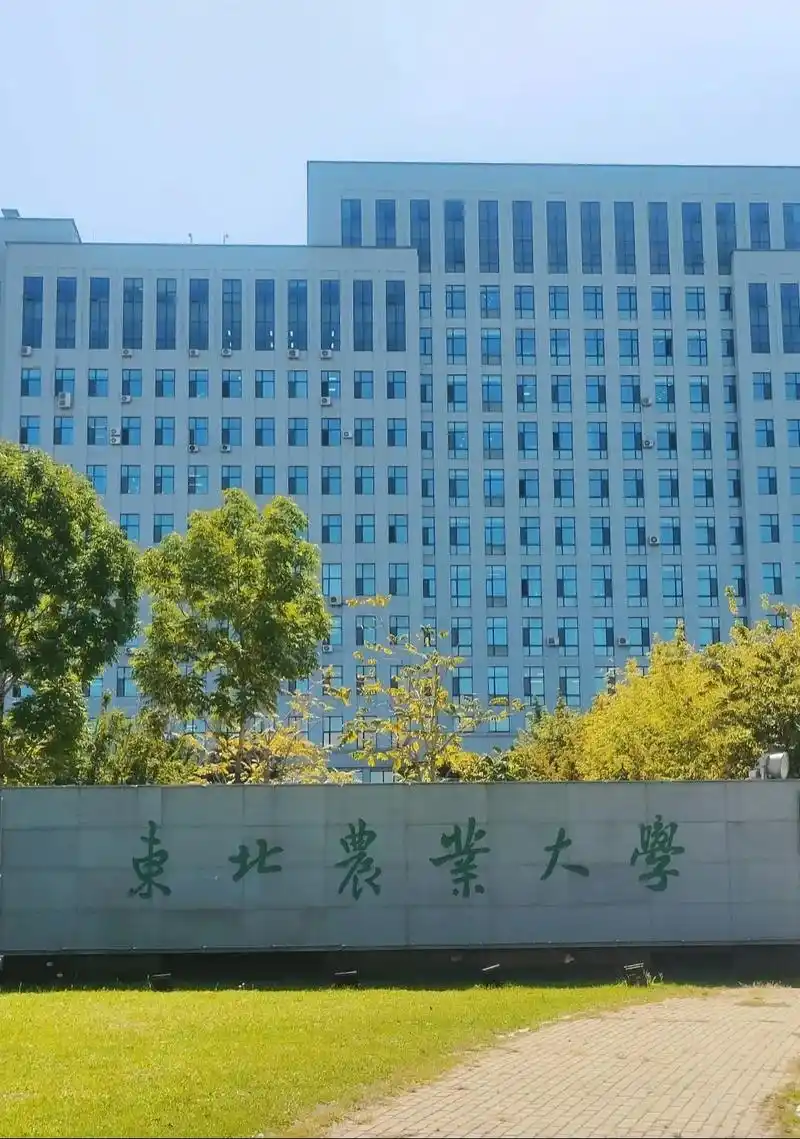 东北农业大学 校园