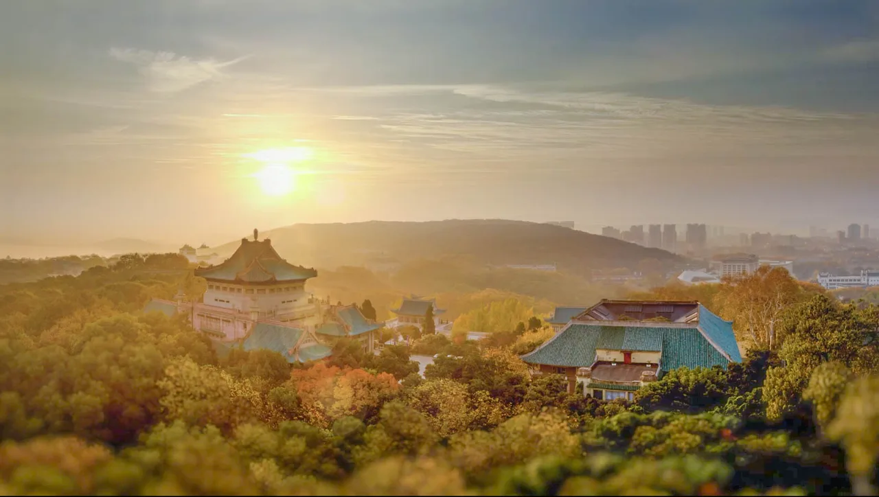 武汉大学 校园