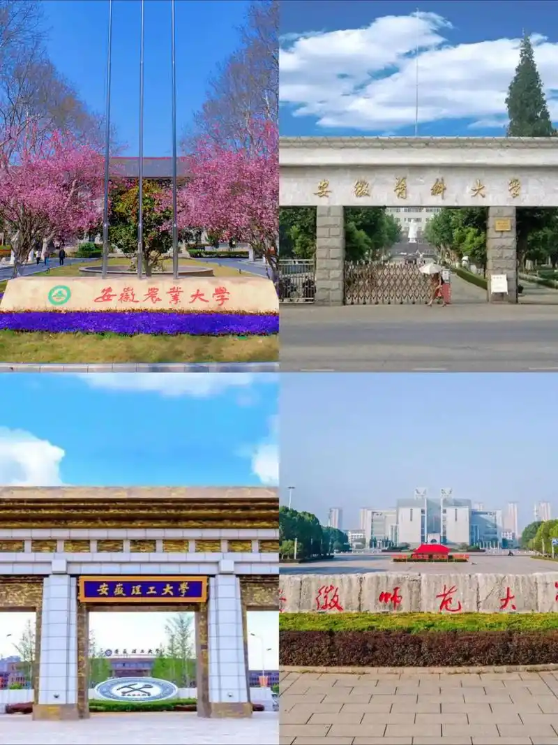 安徽医科大学 校园