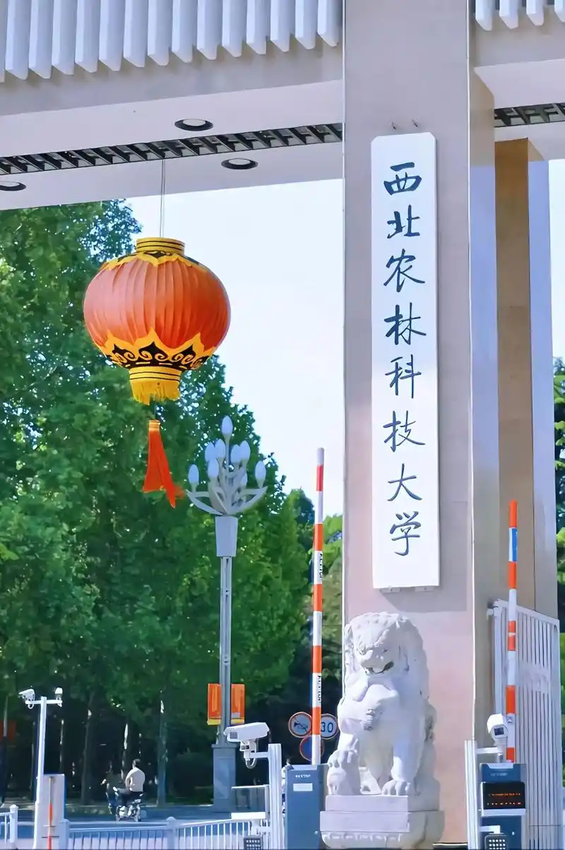 西北农林科技大学