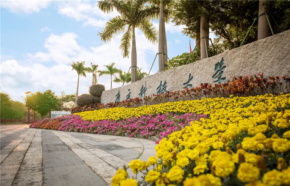南方科技大学
