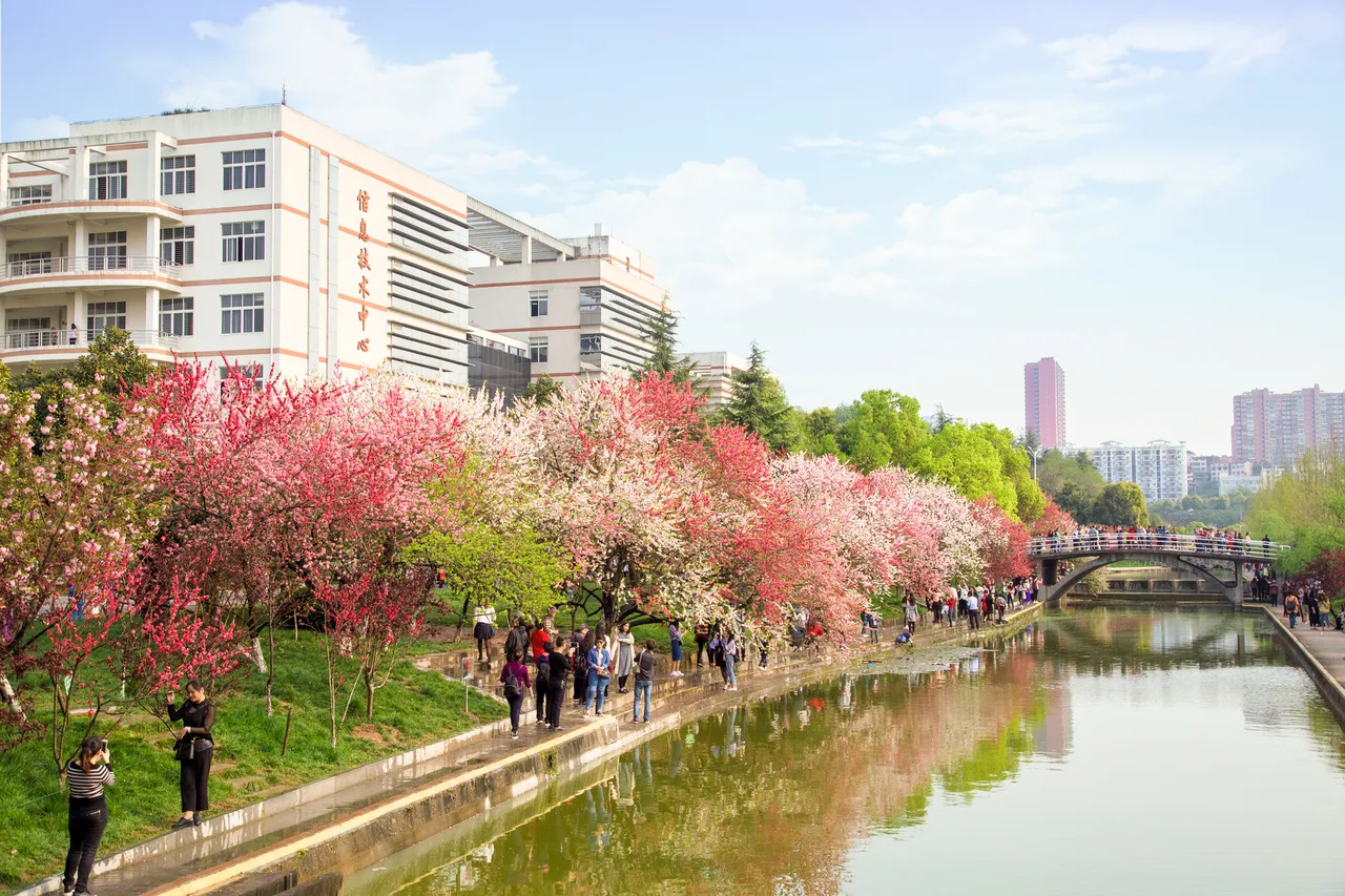 三峡大学 校园