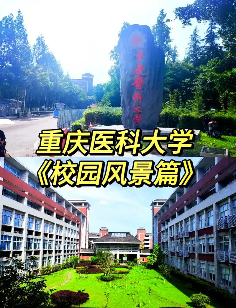 重庆医科大学 校园
