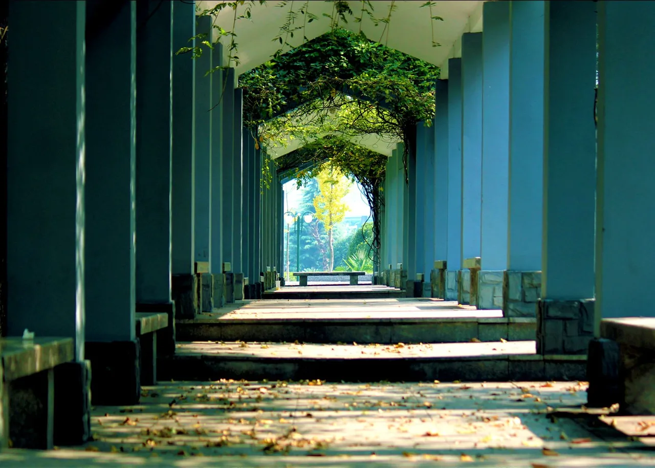 杭州电子科技大学 校园
