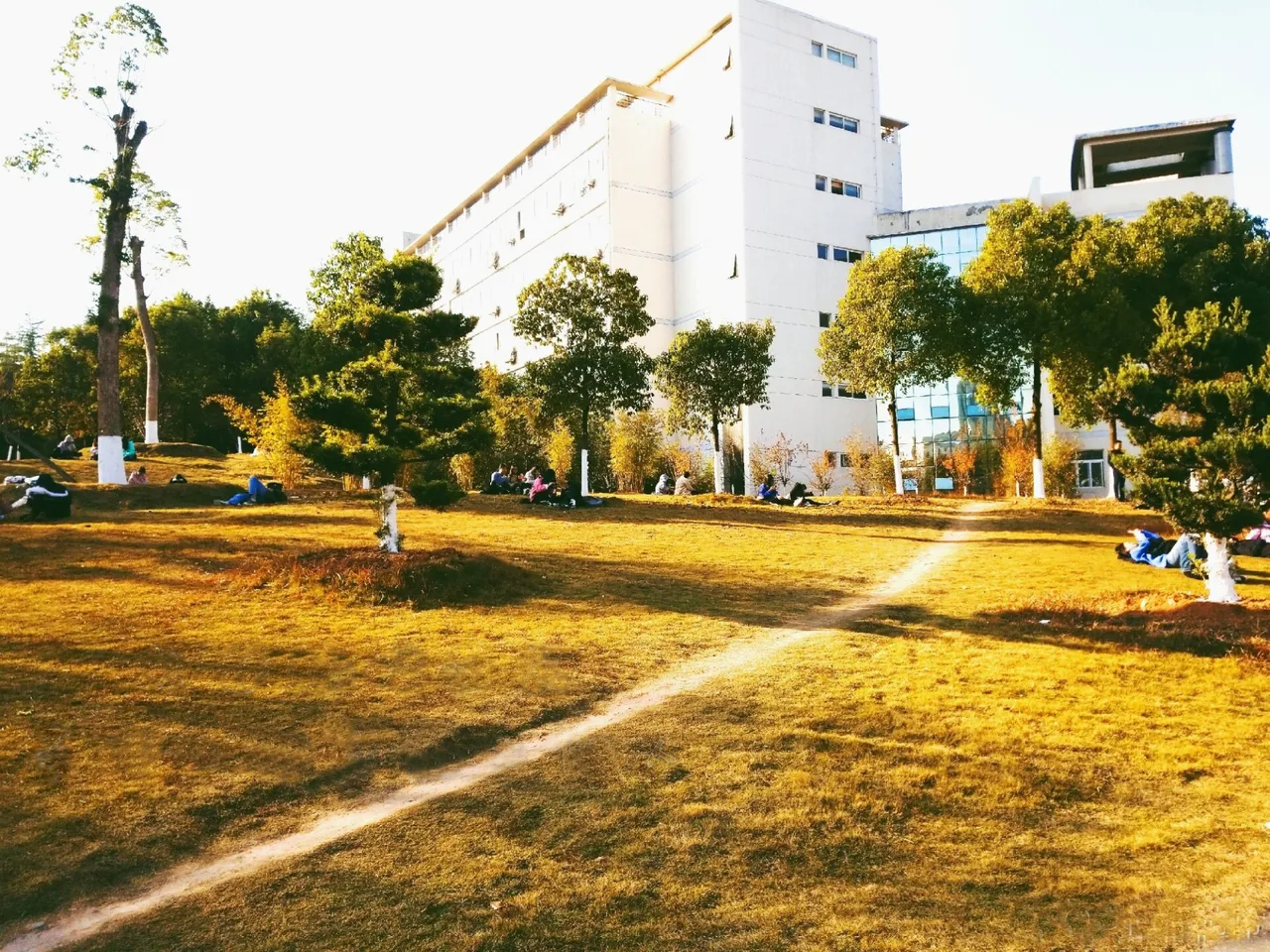 三峡大学 校园