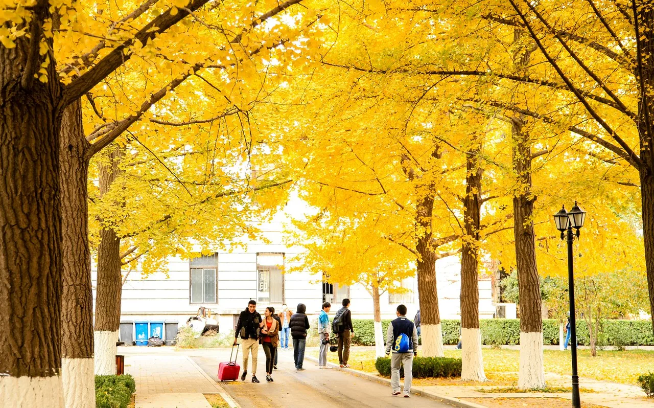 北京科技大学 校园