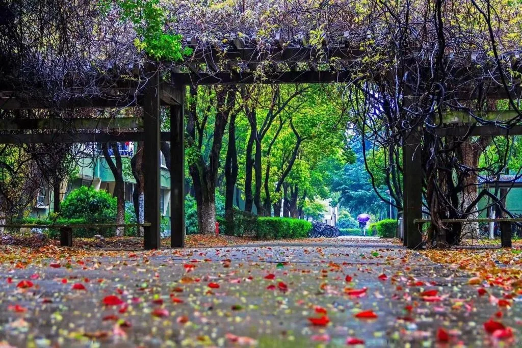 宁波大学 校园