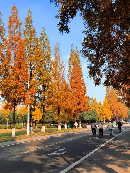 西华大学