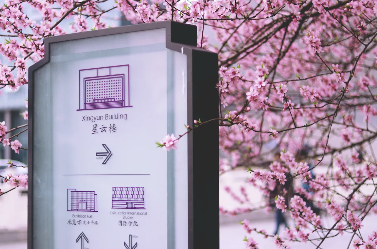 南京大学 校园