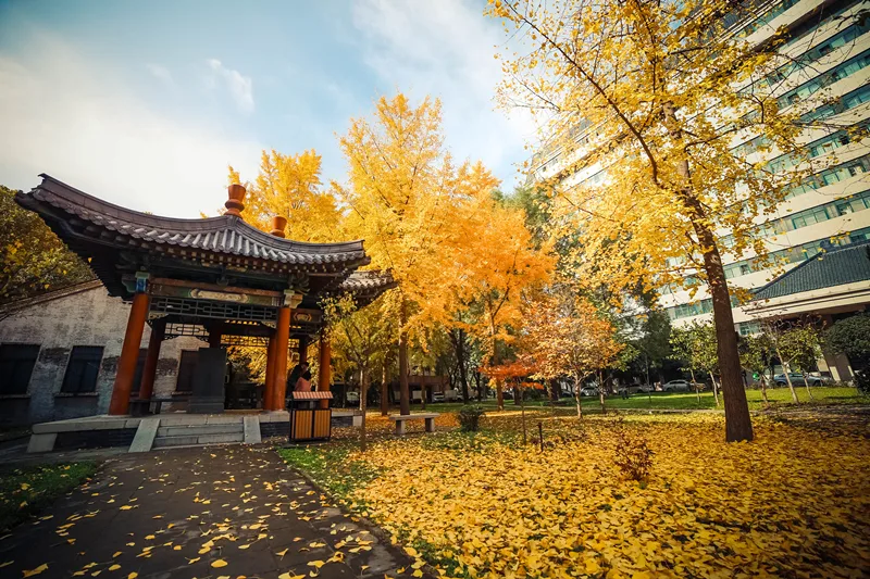 西北大学 校园
