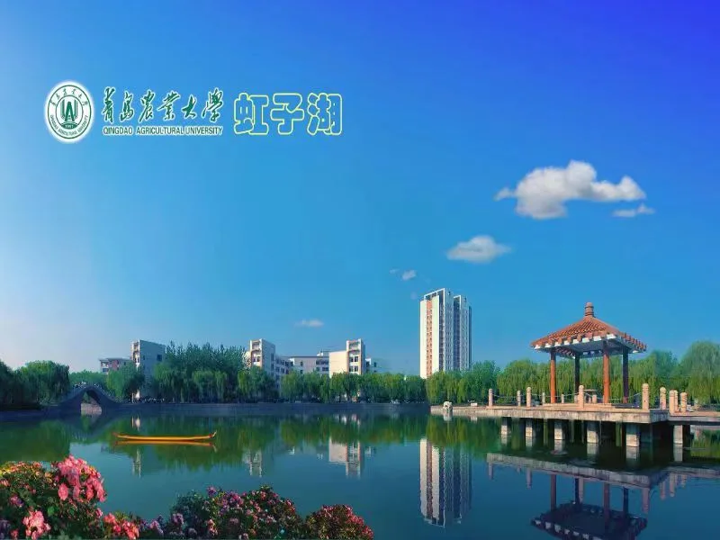 青岛农业大学 校园