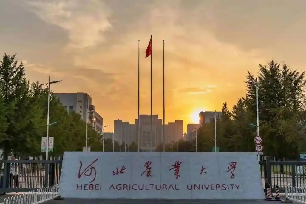河北农业大学 校园