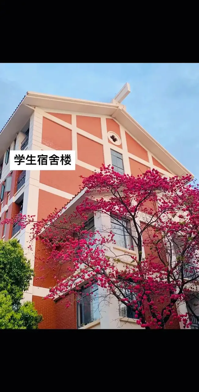 云南民族大学 校园
