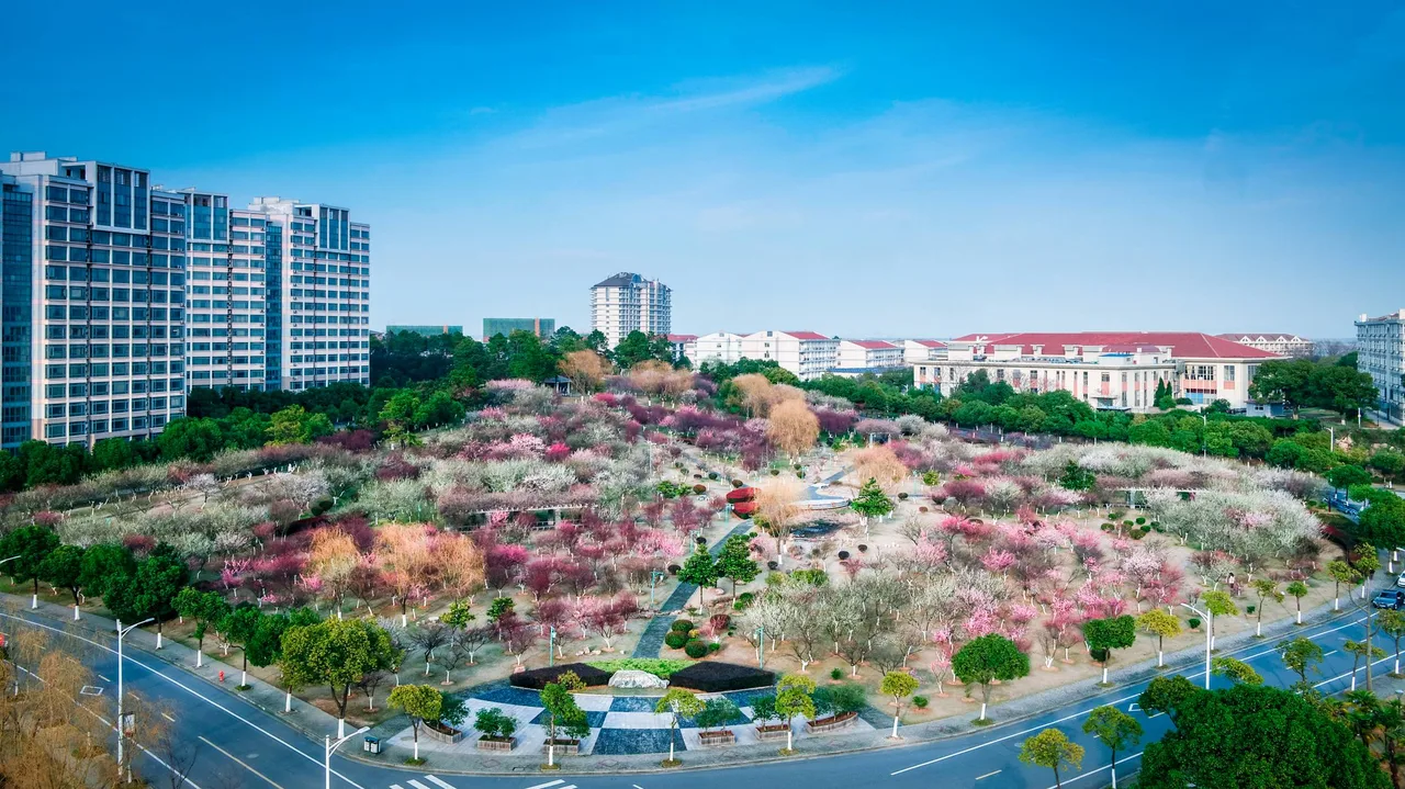 江苏大学 校园