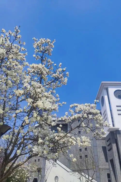 华东师范大学 校园