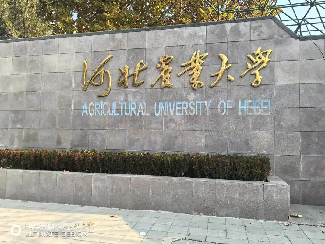 河北农业大学 校园