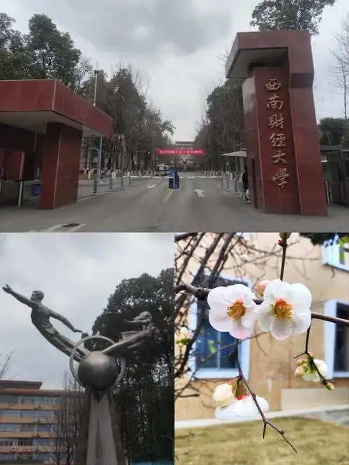 西南财经大学