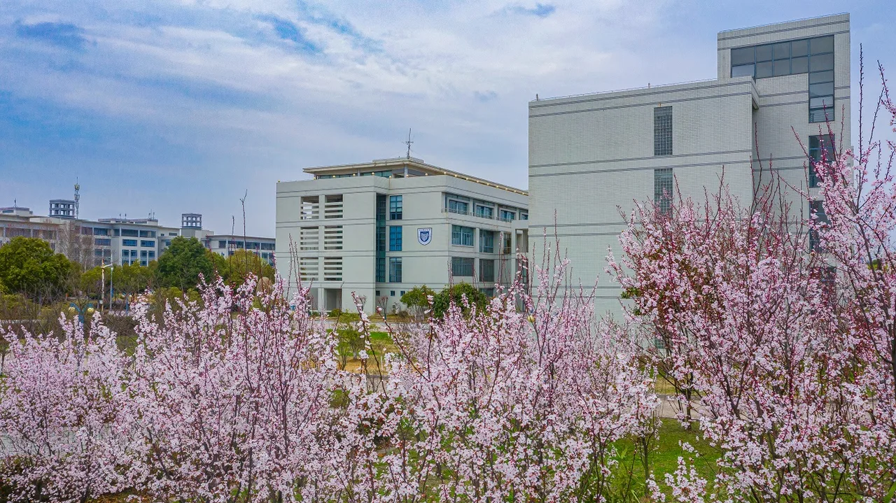 南京邮电大学 校园