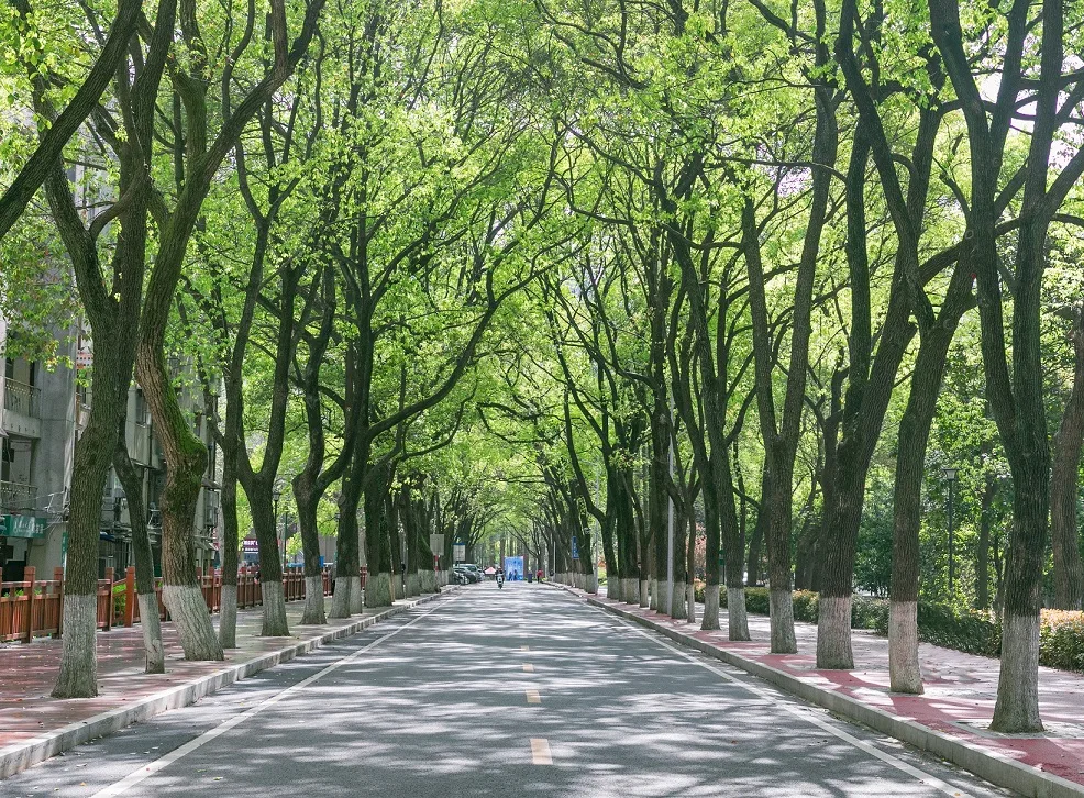 湖北大学 校园
