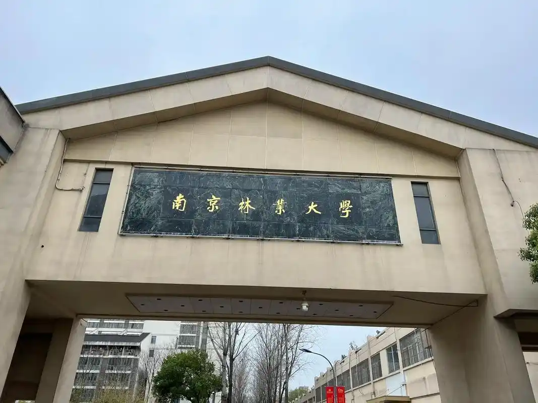 南京林业大学 校园