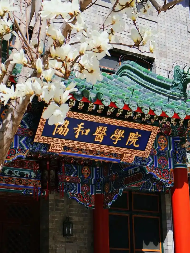 北京协和医学院 校园