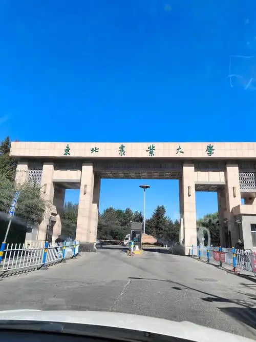 东北农业大学 校园