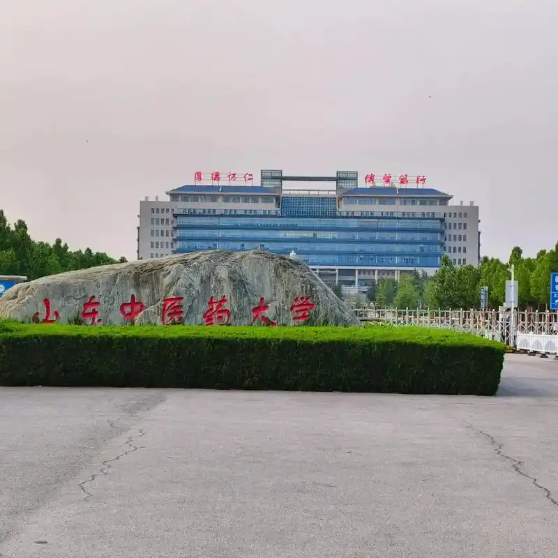 山东中医药大学