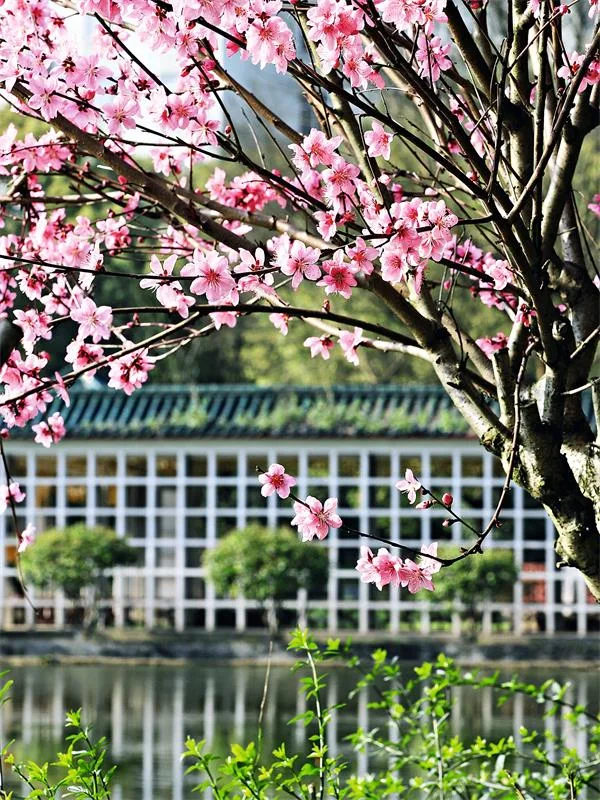 湖南科技大学 校园