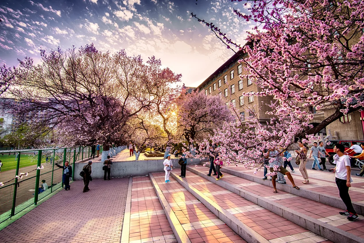 哈尔滨工程大学 校园