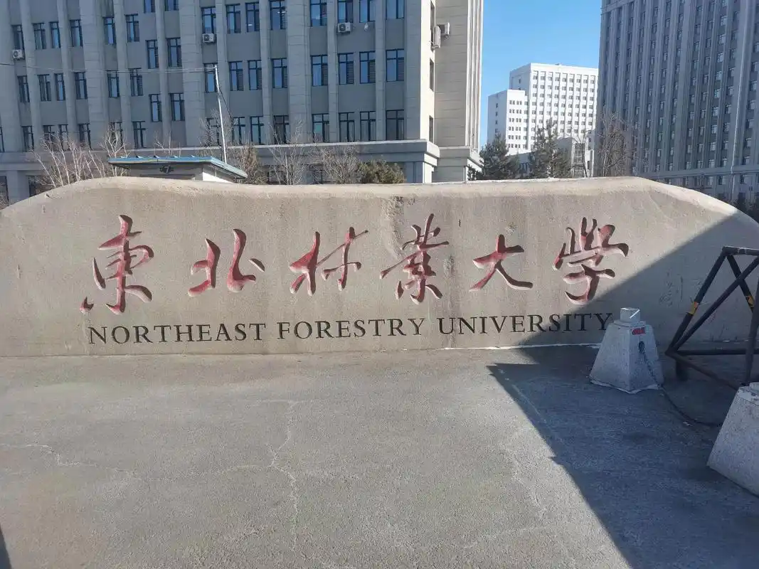 东北林业大学