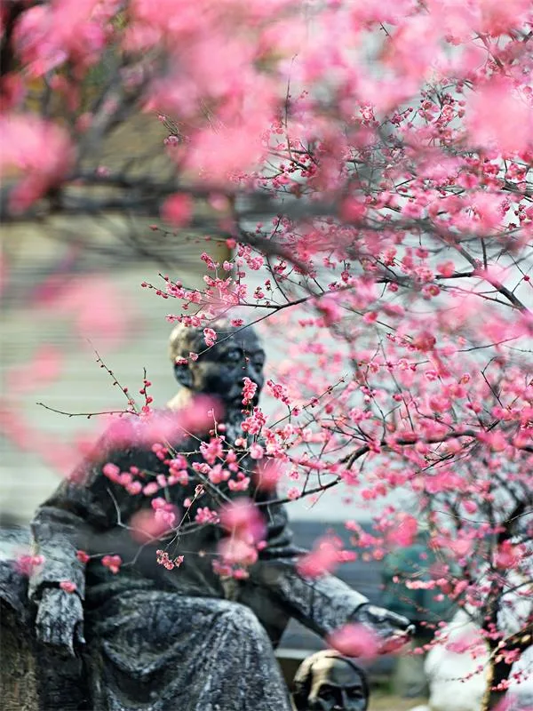 湖南科技大学