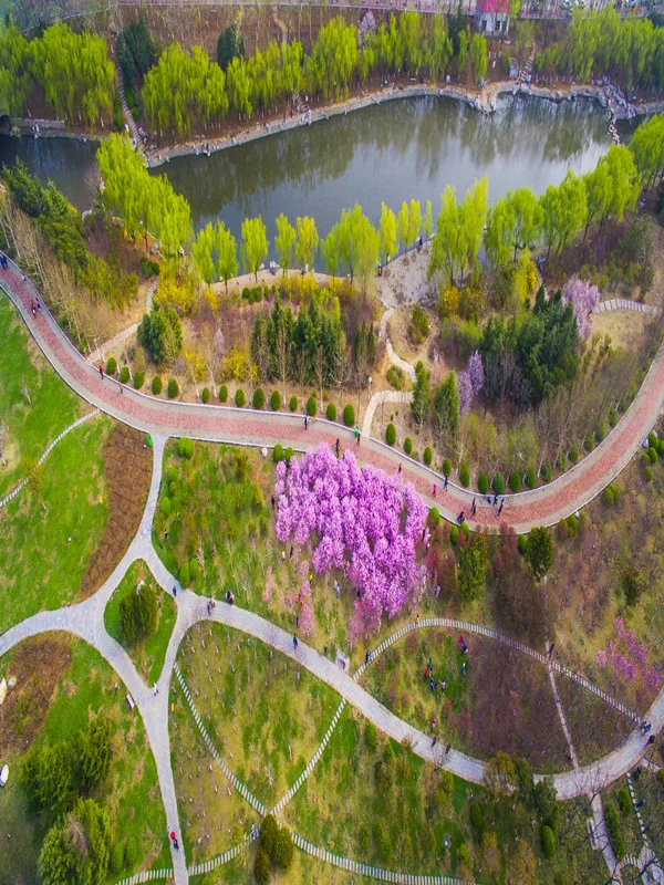 济南大学 校园