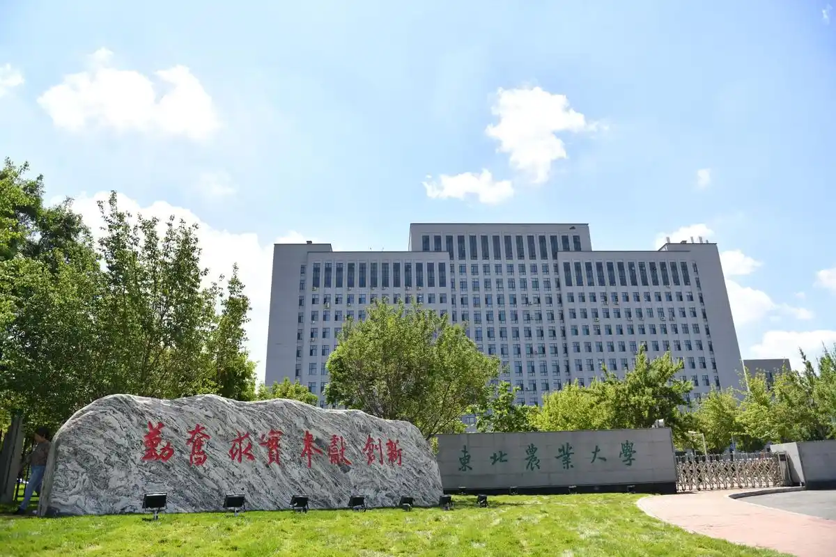 东北农业大学 校园