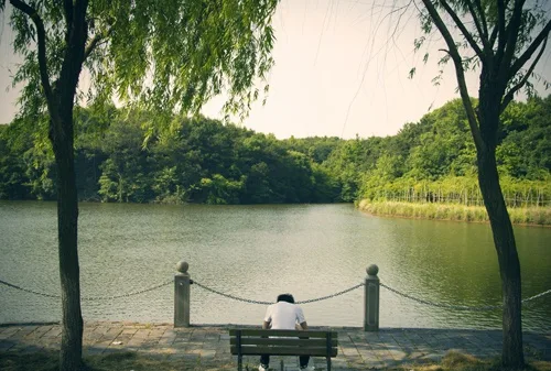南昌大学 校园