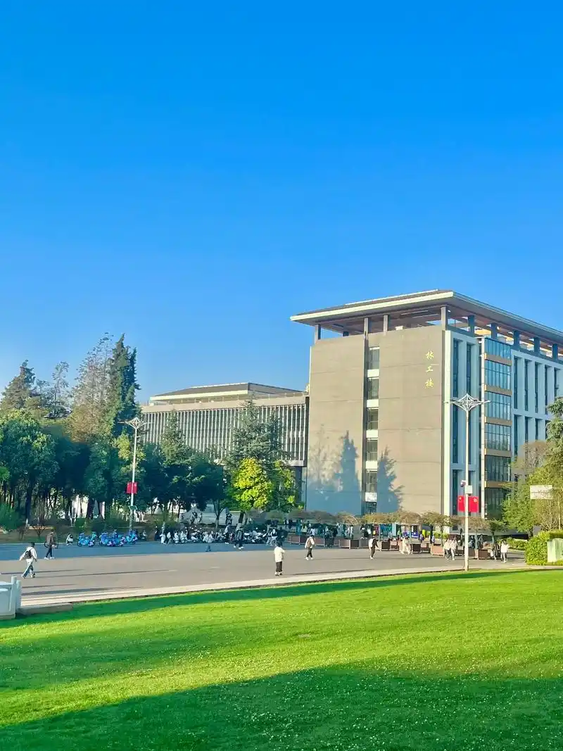西南林业大学