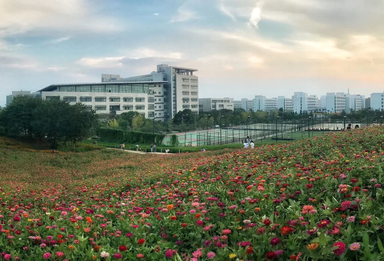 浙江师范大学
