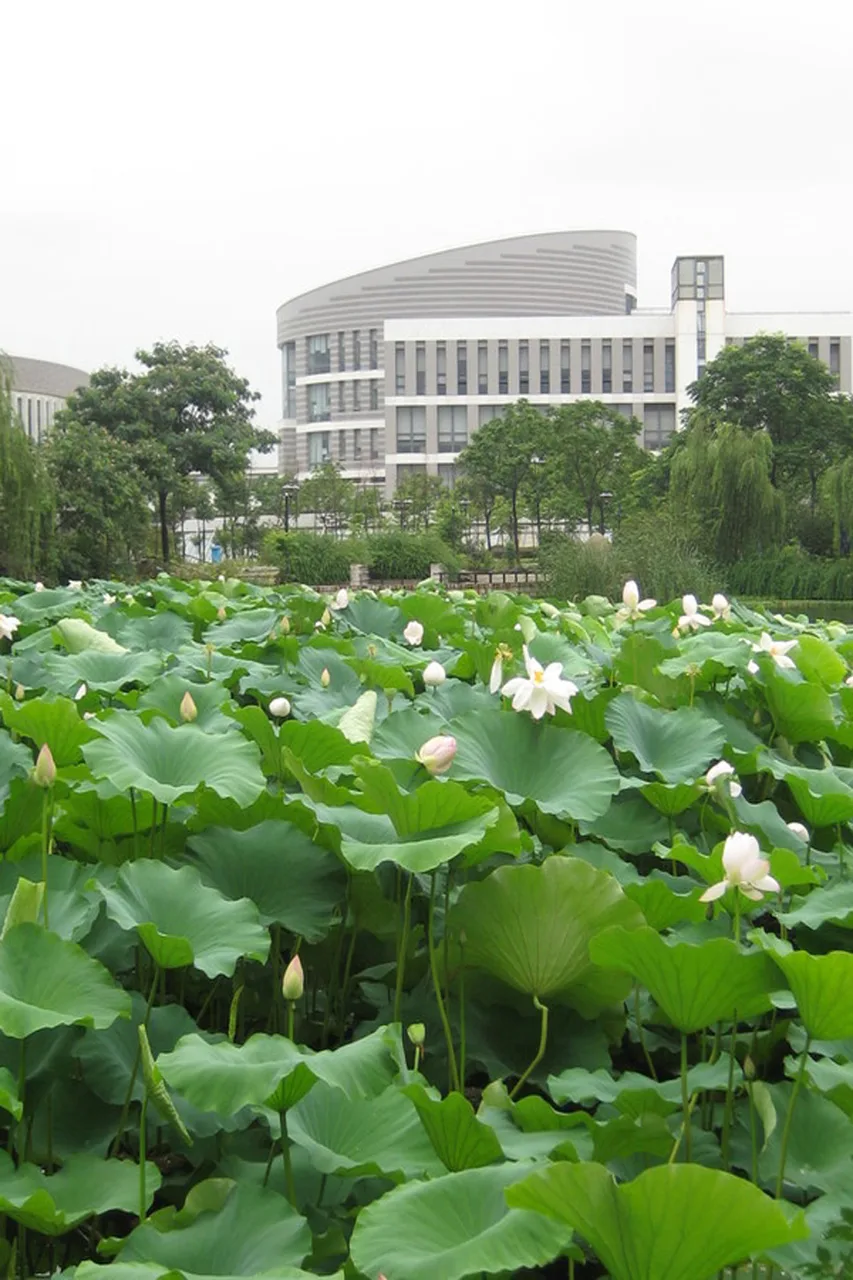 河海大学 校园