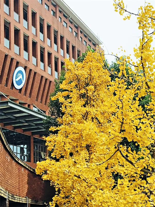 湖南科技大学 校园