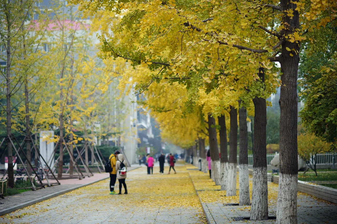 北方工业大学 校园
