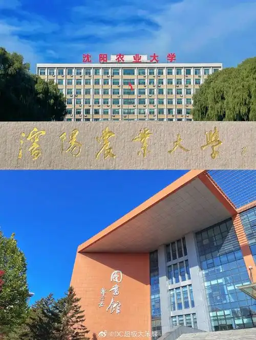 沈阳农业大学 校园