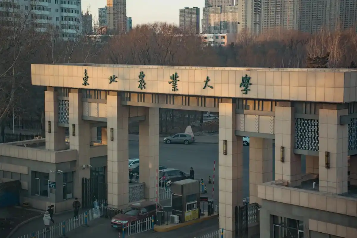 东北农业大学