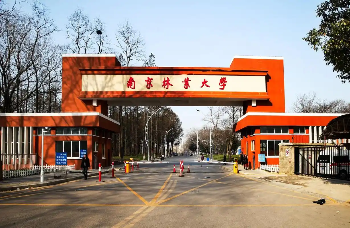 南京林业大学 校园