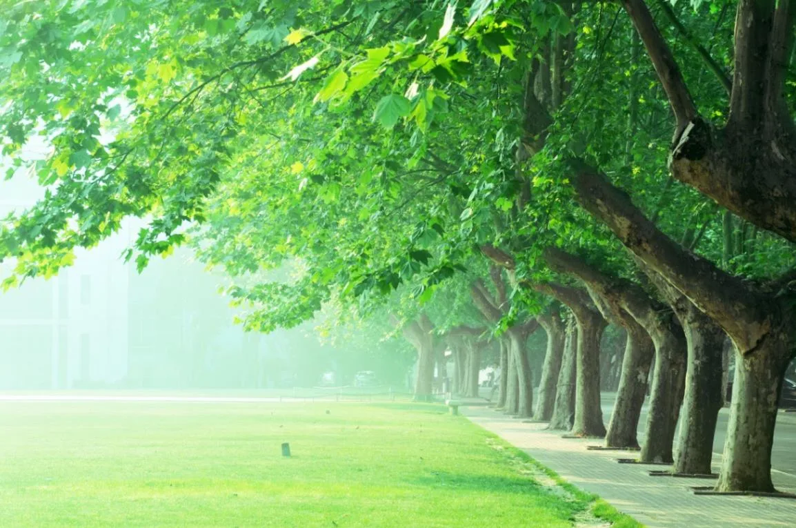 南京农业大学 校园