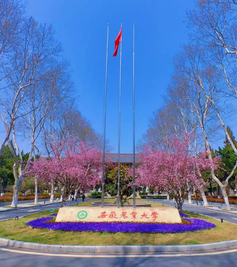 安徽农业大学 校园