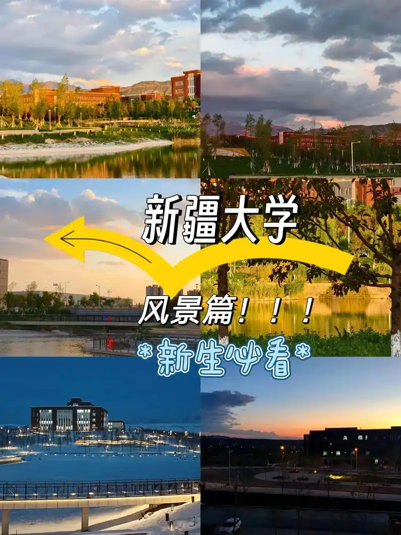 新疆大学 校园