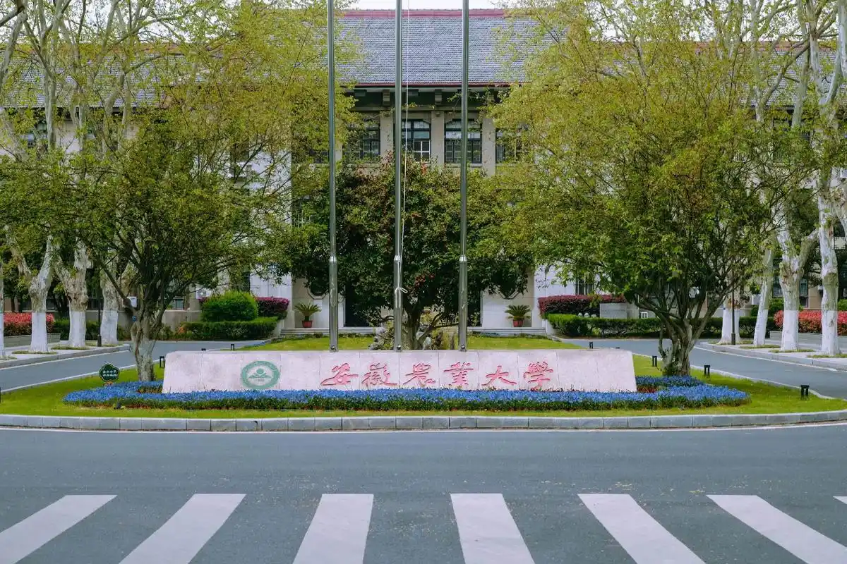 安徽农业大学 校园