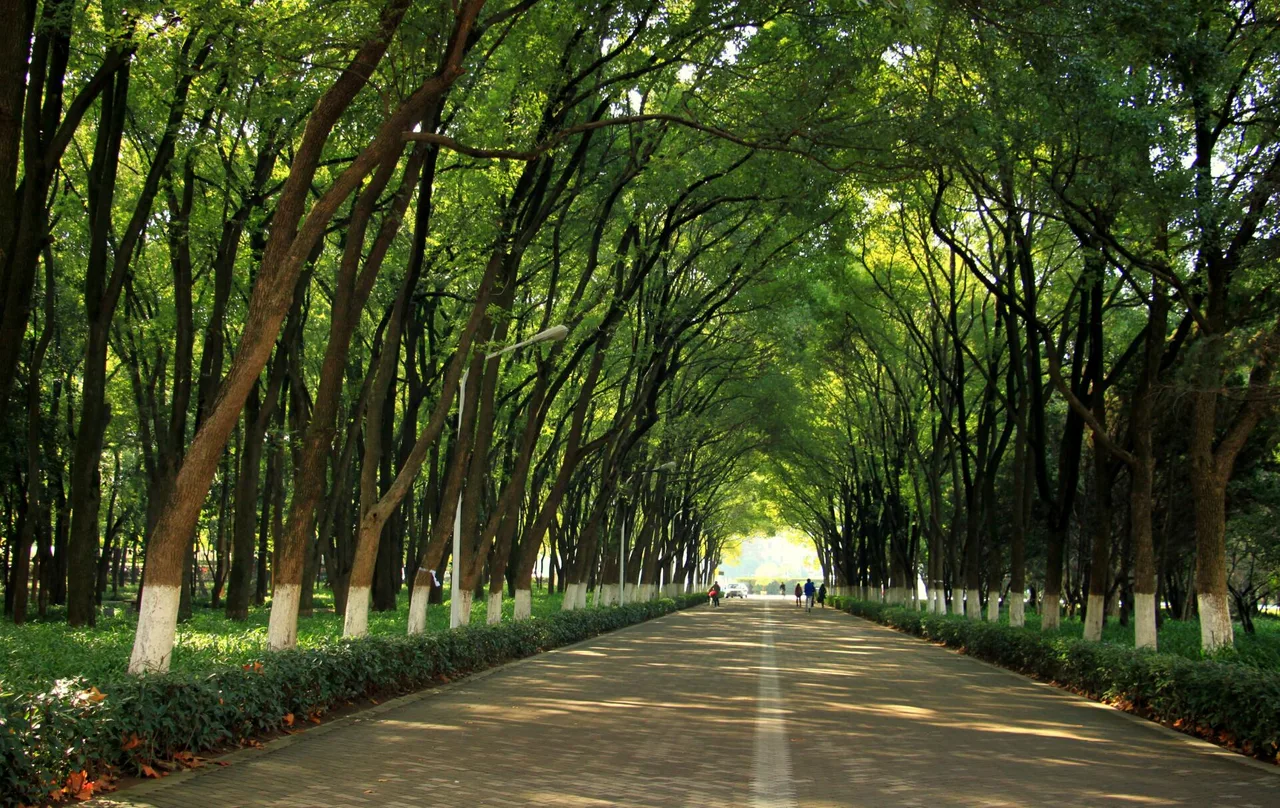 华中科技大学 校园